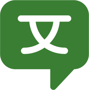 Translation Icon